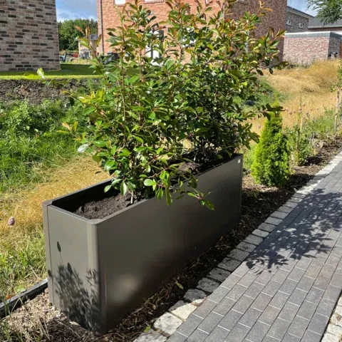 Belvedere® gredica za biljke 4 Belvedere® gredica za biljke - Slika 4